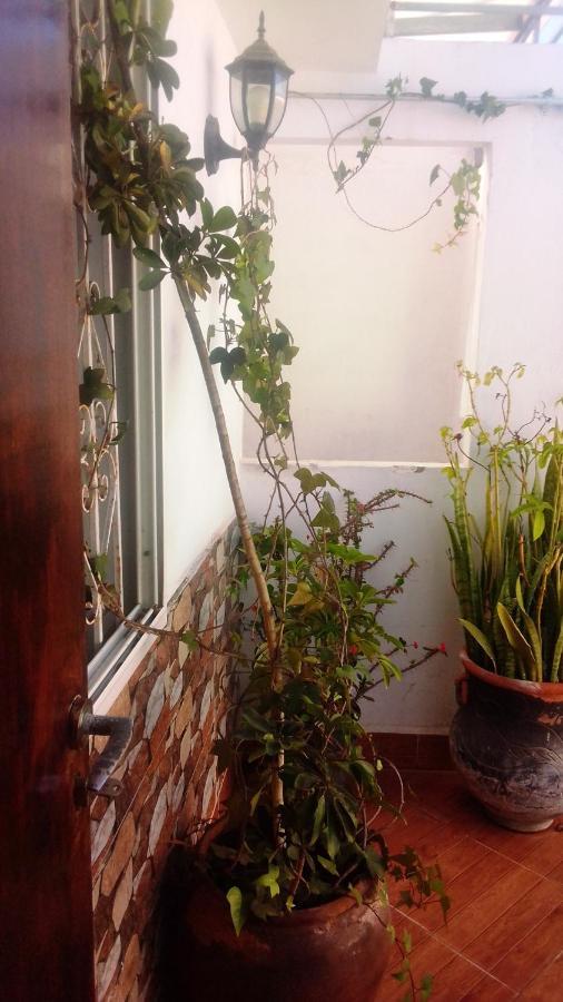 Studio Amine Avec Une Terasse Privee Rabat Bagian luar foto